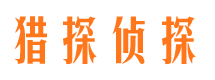 滨湖市侦探公司